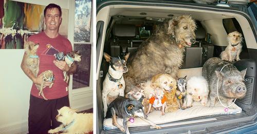 Man Devotes His Life To Adopting Old Dogs Who Can’t Find Forever Homes