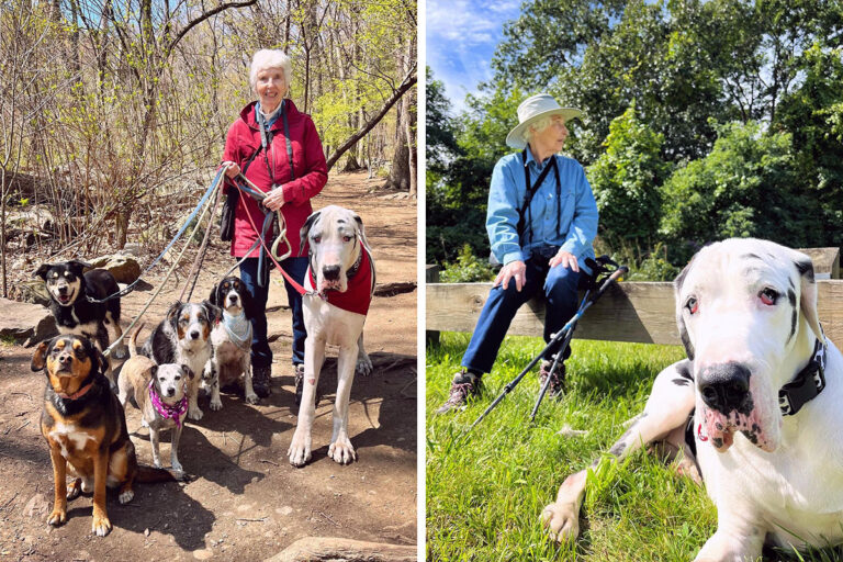 Great Dane meets an elderly lady during a hike and decides that she is his new grandma